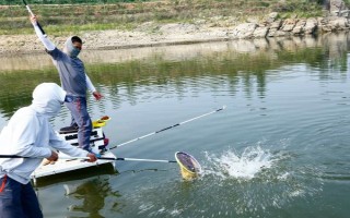 钓虹鳟鱼一般用什么路亚饵，常用的拟饵有铅头钩钓组、亮片等