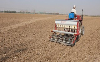 小麦如何种植，选择疏松肥沃、排水透气性良好的土壤