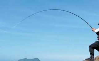 青鱼怎么钓，选择合适的钓组尤为重要