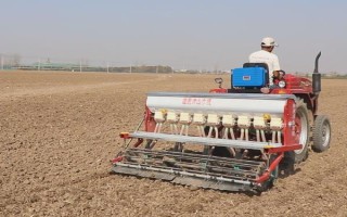 小麦出芽需多少积温，从播种至发芽出苗需要0℃以上的积温120℃