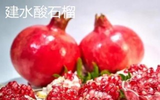 策勒酸石榴的产地,主产于新疆策勒县