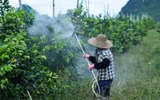 氯吡脲有什么作用，能起到促进作物生长、提高产量等效果