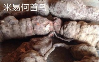 四川省攀枝花的特产,攀枝花芒果是全国农产品地理标志