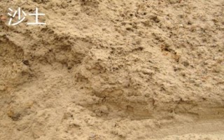 家庭盆栽种花选择什么土壤,腐殖土、园土和沙土都可以