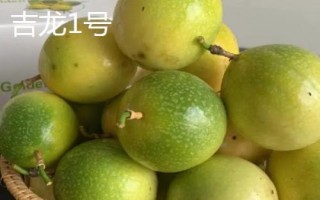 百香果品种有哪些，在国内种植比较多