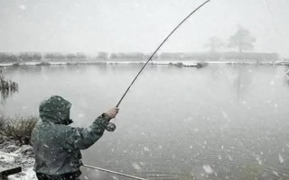 钓鱼好不好钓,与天气、饵料、钓点等相关