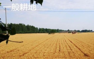 基本农田和一般耕地的意思，前者是指被总体规划不得占用的耕地、后者是指经常耕耘的土地