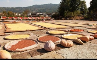 五谷杂粮是指哪5种,是指稻谷、麦子、大豆等