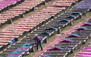 福建永春县的特产，有永春芦柑、佛手茶等