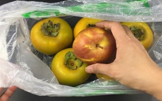柿子怎么催熟，可以用酒精催熟或苹果催熟