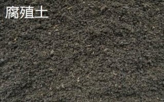 家庭盆栽种花选择什么土壤,腐殖土、园土和沙土都可以