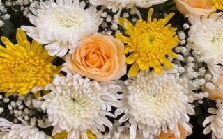 哪些花卉代表思念已故的亲人，常见菊花、康乃馨、白百合等品种