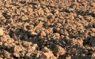 土壤板结的危害，严重板结会影响种植效益