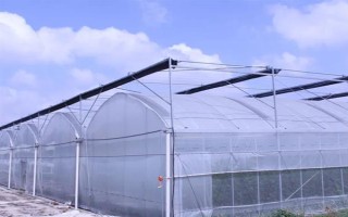 大棚内遮阳和外遮阳的区别，前者在棚内安装遮阳系统、后者直接把阳光阻挡在棚外