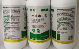 芸苔素多久喷一次，可延长花期