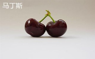 车厘子的品种介绍，常见的有金车车厘子、红灯、美早等