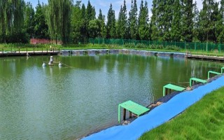 鱼塘鱼缺氧用什么药，可选择二氧化氯