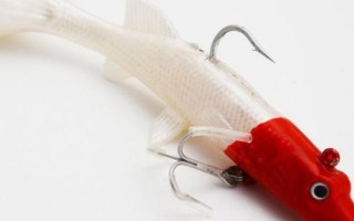 路亚翘嘴技巧，标点时选择回水湾浅水区等位置