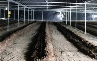 蚯蚓没有销路如何解决，卖给渔具店是不错的选择