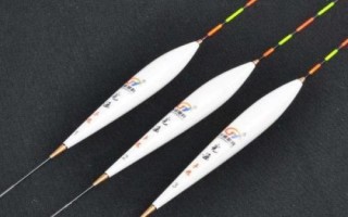 如何野钓鲫鱼，洄湾处更适合作钓