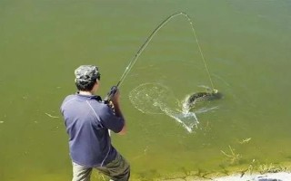 0.3号子线可以飞多重的鱼，能够直接提上2两的小鱼