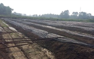 蚯蚓没有销路如何解决，卖给渔具店是不错的选择