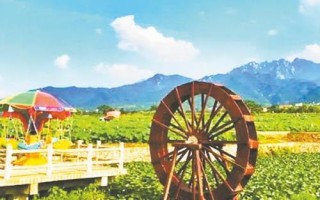 山村适合种植，可以选择种植天麻、百合、核桃等