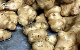 洋姜和生姜的区别，味道和用途均不同