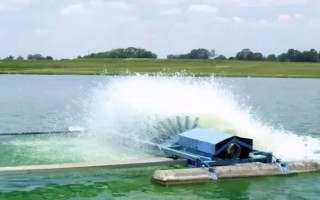 鱼塘改底多久一次，一般1-3个月改底一次