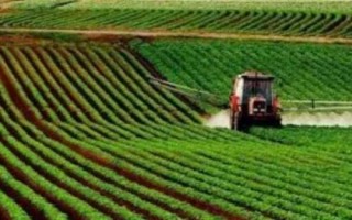 增产不增收怎么解决，可采取调整结构、改善产品质量、发展特色品牌农业等措施