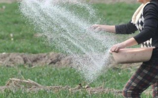 有机复合肥的作用,可以改良土壤物理、化学和生物特性等