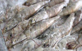 越南对虾是淡水虾吗,不是淡水虾而是海水虾