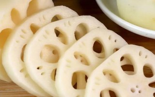 白莲藕苗的价格，一棵需要1.5-3元左右