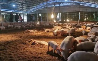 畜禽标识和养殖档案管理办法的内容，在我国境内从事相关生产等活动都要遵守