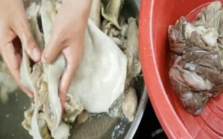 怎么清洗牛肚，可撒上食盐反复揉搓
