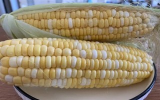 玉米深加工的产品有哪些，有玉米淀粉、玉米蛋白粉等