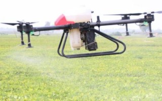 防治斑潜蝇最佳特效配方药，阿维菌素、灭蝇胺效果好