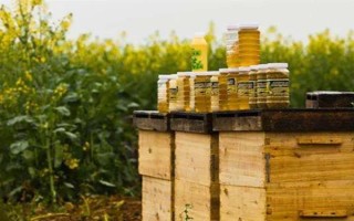 油菜花蜂蜜的价格，一斤需要30-50元左右