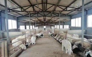 畜禽标识和养殖档案管理办法的内容，在我国境内从事相关生产等活动都要遵守