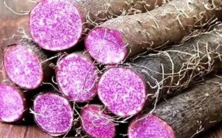 有哪些紫色菜，常见的有茄子、紫甘蓝、洋葱等