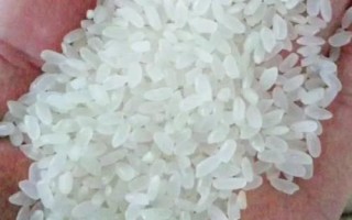 东北大米的品种，常见的有长粒香、稻花香、珍珠米等