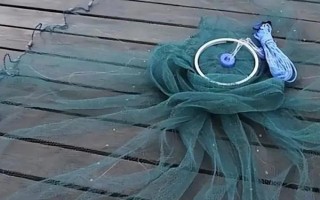 一指鱼网可以抓什么鱼，可以抓捕小白条等小鱼