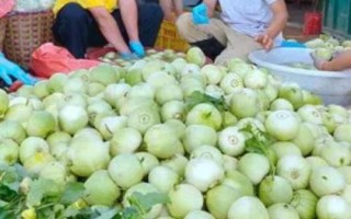 水果代销怎么赚钱,一般是薄利多销