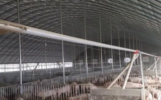 如何搭建养猪大棚，首先风口不可面对人群聚集地