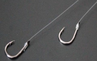 0.3号子线可以飞多重的鱼，能够直接提上2两的小鱼