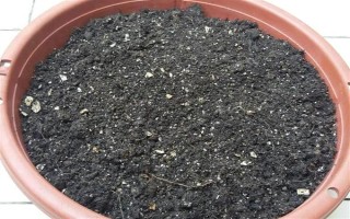 怎么养殖蟹爪兰,春秋季节每隔4天浇一次水