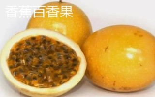 百香果品种有哪些，在国内种植比较多