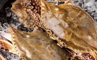 梭子蟹的养殖条件，生长温度范围为8-31℃