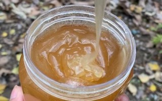 什么是丹参蜜，由蜜蜂采集丹参花蜜酿制而成