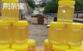 中国四大蜂蜜种类，分别是洋槐蜜、荆条蜜、枣花蜜、荔枝蜜